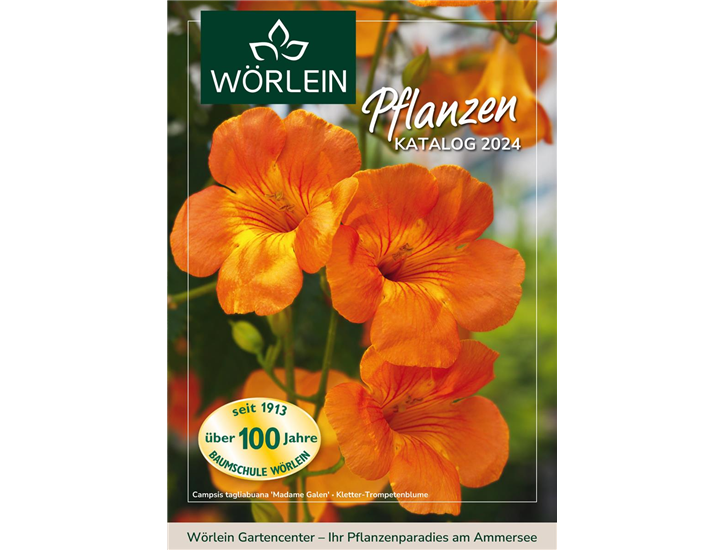 Woerlein Pflanzenkatalog Titelseite 2024-1.jpg